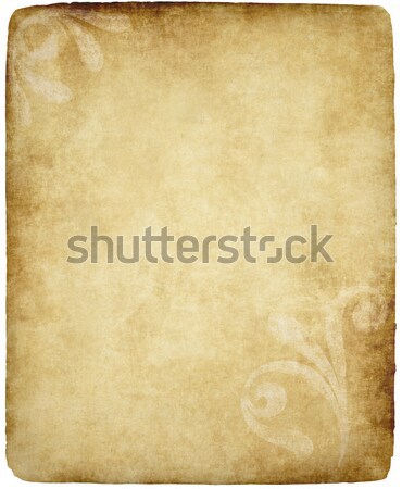 Régi papír pergamen nagy textúra virágmintás terv Stock fotó © clearviewstock