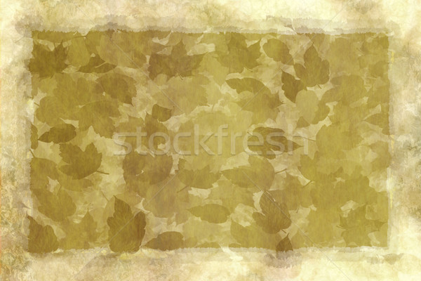 old worn leafy parchment Stock photo © clearviewstock