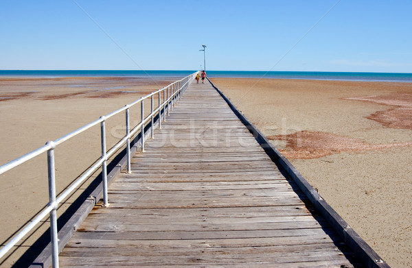 the long jetty Stock photo © clearviewstock