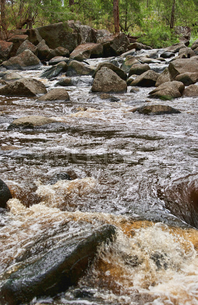rushing water in river Stock photo © clearviewstock