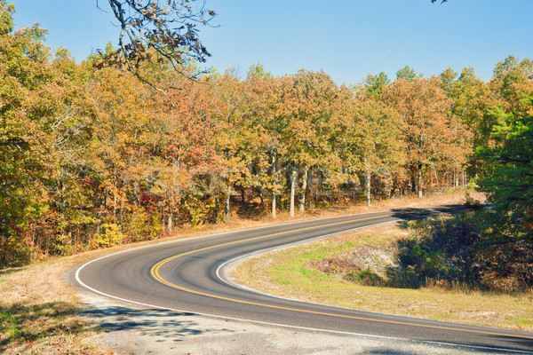autumn or fall highway Stock photo © clearviewstock