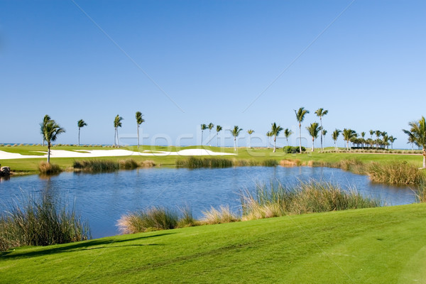 Teren de golf recurge jucatori copac iarbă golf Imagine de stoc © cmcderm1