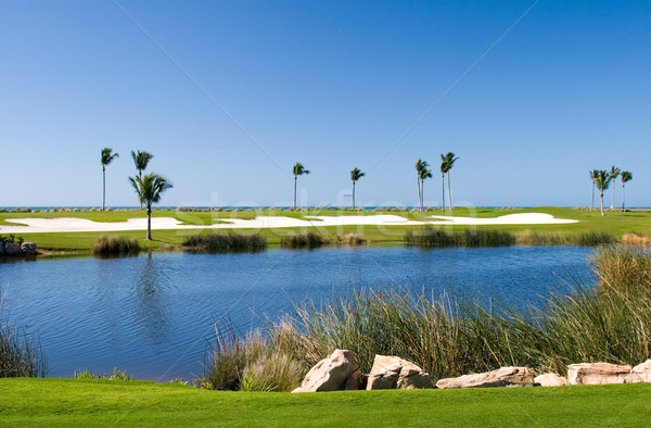 Campo de golfe recorrer jogadores árvore grama golfe Foto stock © cmcderm1