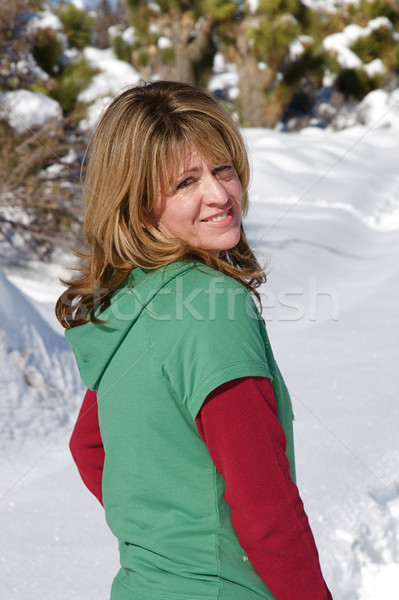 Hiver wonderland jeunes jouir de fraîches neige [[stock_photo]] © cmcderm1