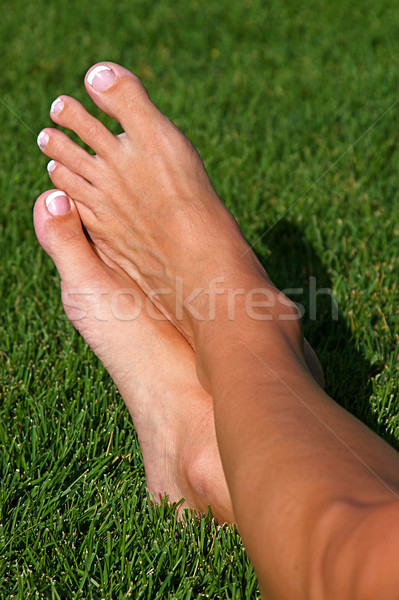 Barefoot in the Grass Stock photo © cmcderm1