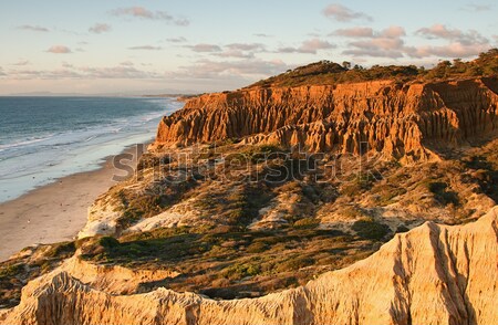 Californië kust ruig kustlijn oceaan Stockfoto © cmcderm1