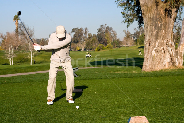 Golfozó üdülőhely golfpálya tevékenység fű férfi Stock fotó © cmcderm1
