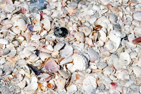 Masse plage île résumé [[stock_photo]] © cmcderm1