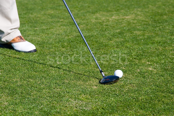 Golfer Stock photo © cmcderm1