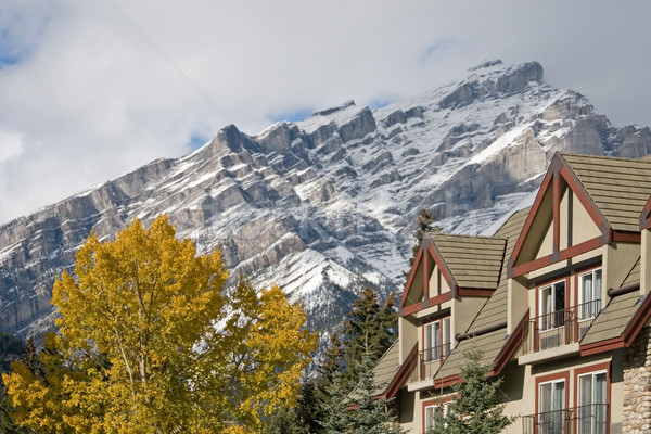 Montagnes couvert hiver neige Canada vacances [[stock_photo]] © cmcderm1