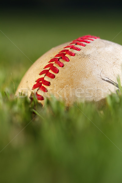 Baseball macro vue utilisé [[stock_photo]] © cmcderm1