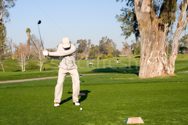 Golfer Stock photo © cmcderm1