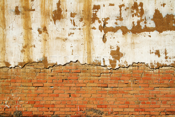 Background Wall Texture of an old section wall Stock photo © cmcderm1