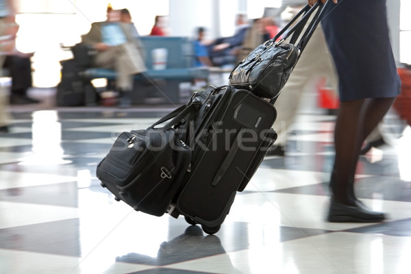 Aeropuerto aerolínea pasajeros prisa vuelos equipaje Foto stock © cmcderm1