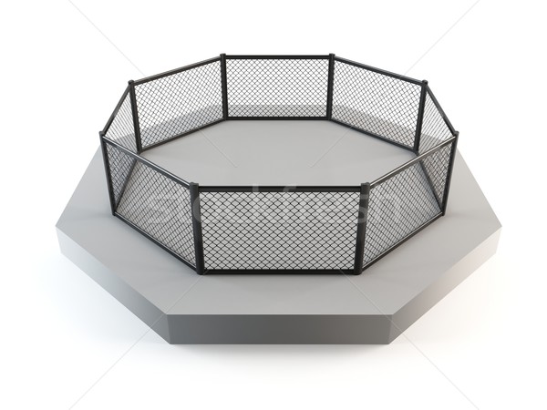 Stock photo: MMA octagon ring