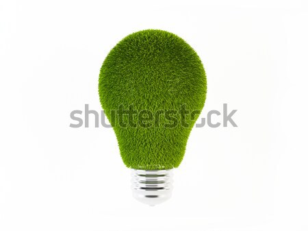 Zöld energia 3D renderelt kép villanykörte fedett fű Stock fotó © cnapsys