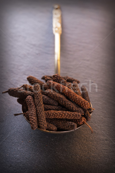 Inflorescence long or Indonesian pepper Stock photo © Coffeechocolates