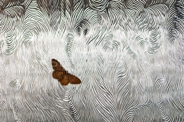 Butterfly on the glass Stock photo © Coffeechocolates
