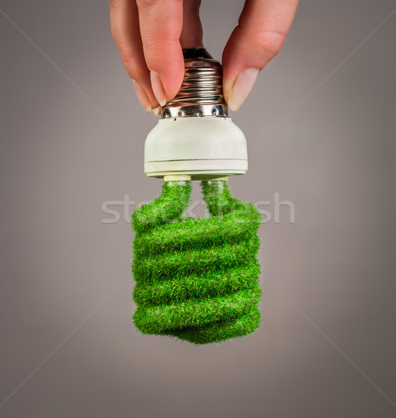 Eco mão cinza fundo lâmpada Foto stock © cookelma