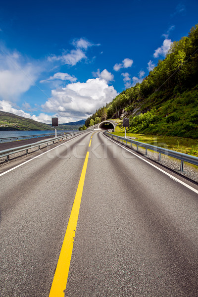 Road in Norway Stock photo © cookelma