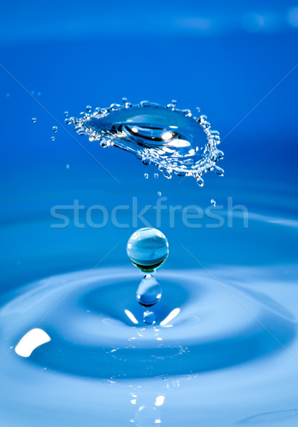 Waterdruppel naar beneden natuur licht regen Blauw Stockfoto © cookelma