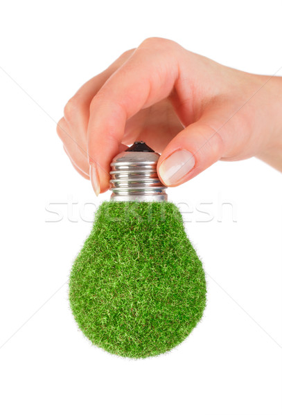 Eco ampoule main isolé blanche fond [[stock_photo]] © cookelma