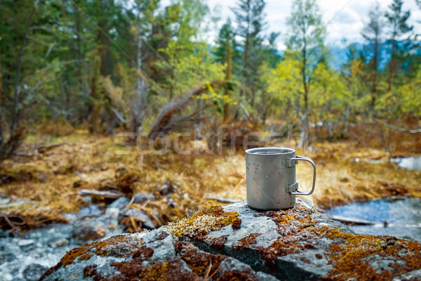 Travel titanium cup Beautiful Nature Norway. Stock photo © cookelma