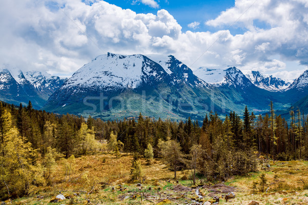 Zdjęcia stock: Piękna · charakter · Norwegia · naturalnych · krajobraz · niebo