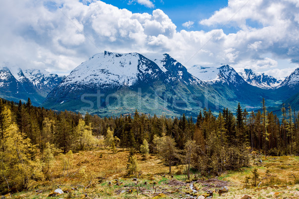 Beautiful Nature Norway. Stock photo © cookelma