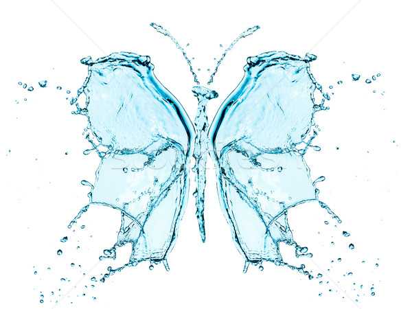 Butterfly splashing water Stock photo © cookelma