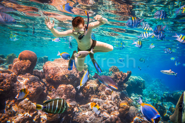 ストックフォト: モルディブ · インド · 海 · サンゴ礁 · ダイビング · 脳
