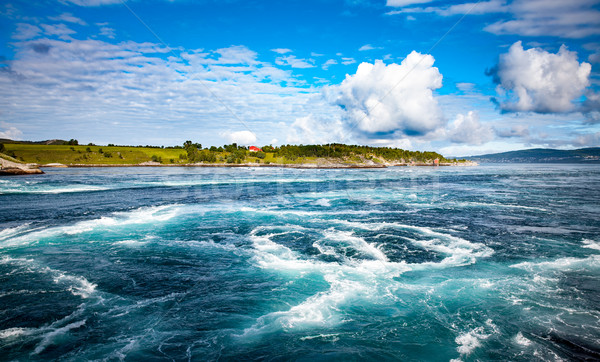 Whirlpools of the maelstrom of Saltstraumen, Nordland, Norway Stock photo © cookelma