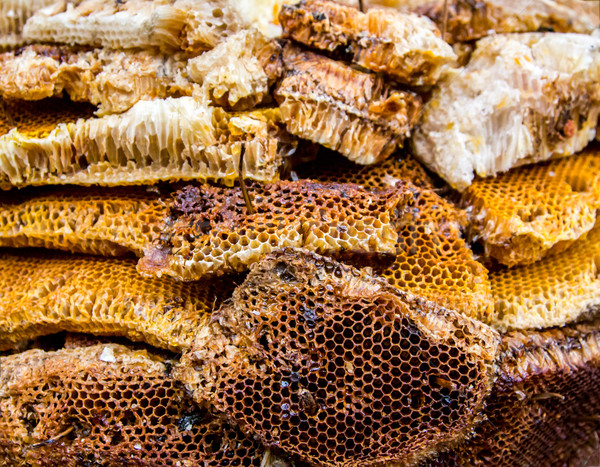 Panal abejas alimentos fondo naranja Foto stock © cookelma