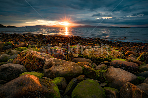 Pôr do sol mar Noruega ártico costa praia Foto stock © cookelma