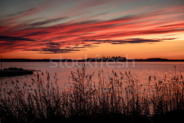 Hochrot Sonnenuntergang Golf Strand Himmel Natur Stock foto © cookelma