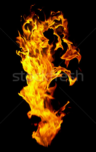 Fire photo on a black background  Stock photo © cookelma