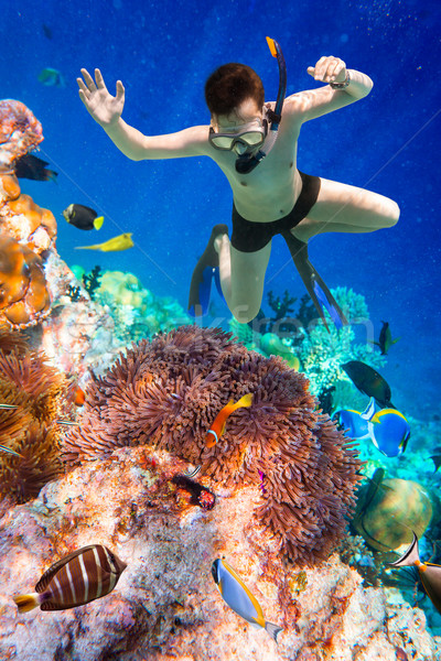 ストックフォト: モルディブ · インド · 海 · サンゴ礁 · ダイビング · 脳