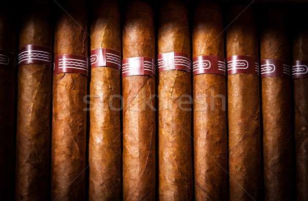 Cigars in humidor Stock photo © cookelma