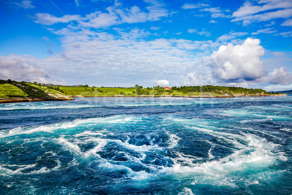 Whirlpools of the maelstrom of Saltstraumen, Nordland, Norway Stock photo © cookelma