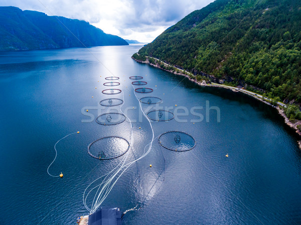 Farm lazac halászat Norvégia légi fotózás Stock fotó © cookelma