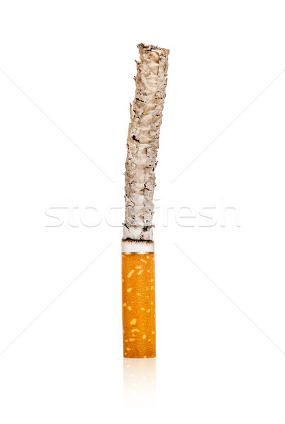 Lighted cigarette Stock photo © cookelma