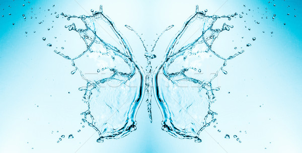 Butterfly splashing water Stock photo © cookelma