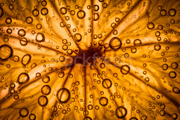 ストックフォト: 柑橘類 · 泡 · 抽象的な · 自然 · 光