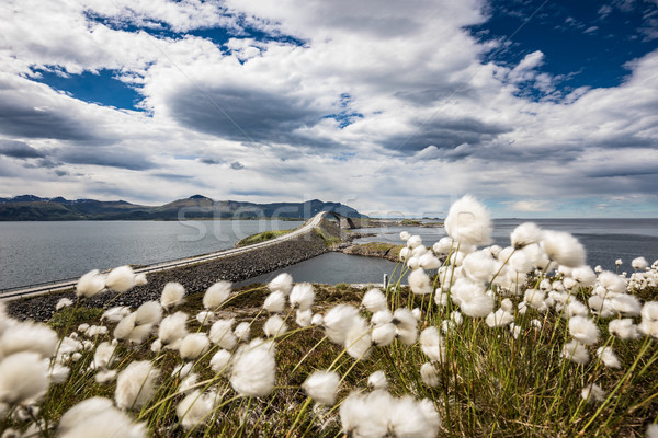 Atlantic Ocean Road Norway Stock photo © cookelma
