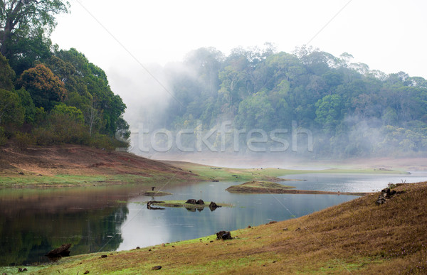 India Kumily, Kerala, India - National park Periyar Wildlife San Stock photo © cookelma