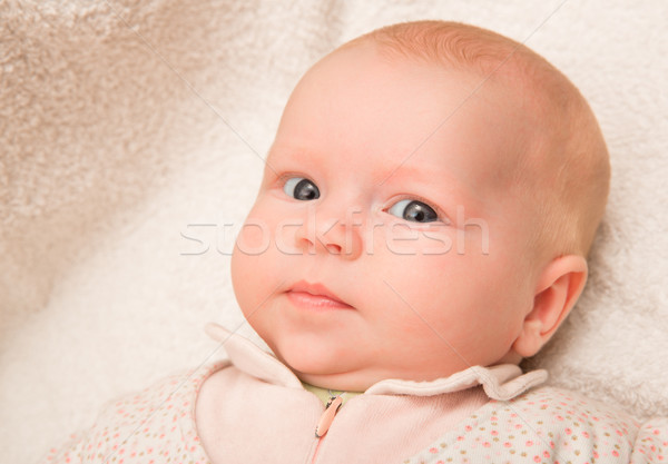 Two-month old baby girl baby girl Stock photo © cookelma