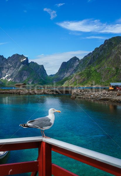 ストックフォト: 列島 · 島々 · ノルウェー · 風景 · 劇的な · 山