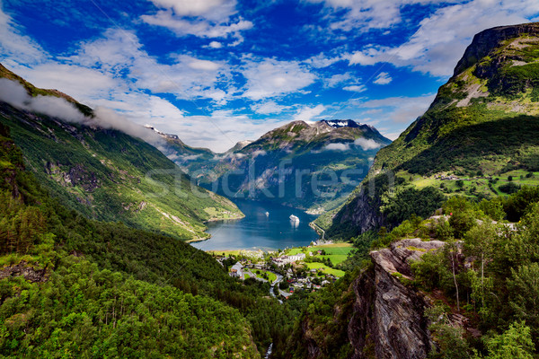 Stock foto: Norwegen · schönen · Natur · lange · Zweig · aus