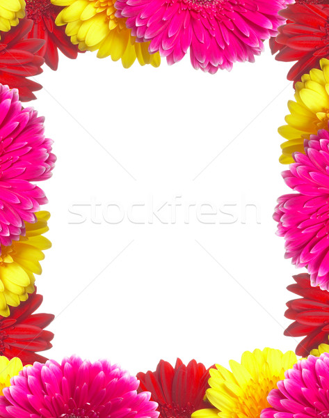 Stockfoto: Kleuren · voorjaar · zomer · ruimte · schrijven