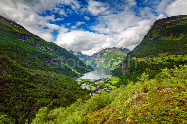 Norvégia gyönyörű természet hosszú ág el Stock fotó © cookelma